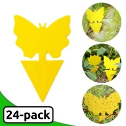 Merkloos Dayshake Rouwvliegjes Vangkaarten 24 Stuks - Vliegenvanger Plak Klavertjes - Fruitvliegjes Vanger - Varenrouwmug Bestrijden