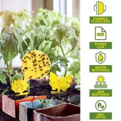 Merkloos Dayshake Rouwvliegjes Vangkaarten 24 Stuks - Vliegenvanger Plak Klavertjes - Fruitvliegjes Vanger - Varenrouwmug Bestrijden -Gardena Winkel 1200x1200 2544
