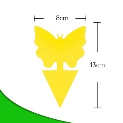 Merkloos Dayshake Rouwvliegjes Vangkaarten 24 Stuks - Vliegenvanger Plak Klavertjes - Fruitvliegjes Vanger - Varenrouwmug Bestrijden -Gardena Winkel 1200x1200 2545