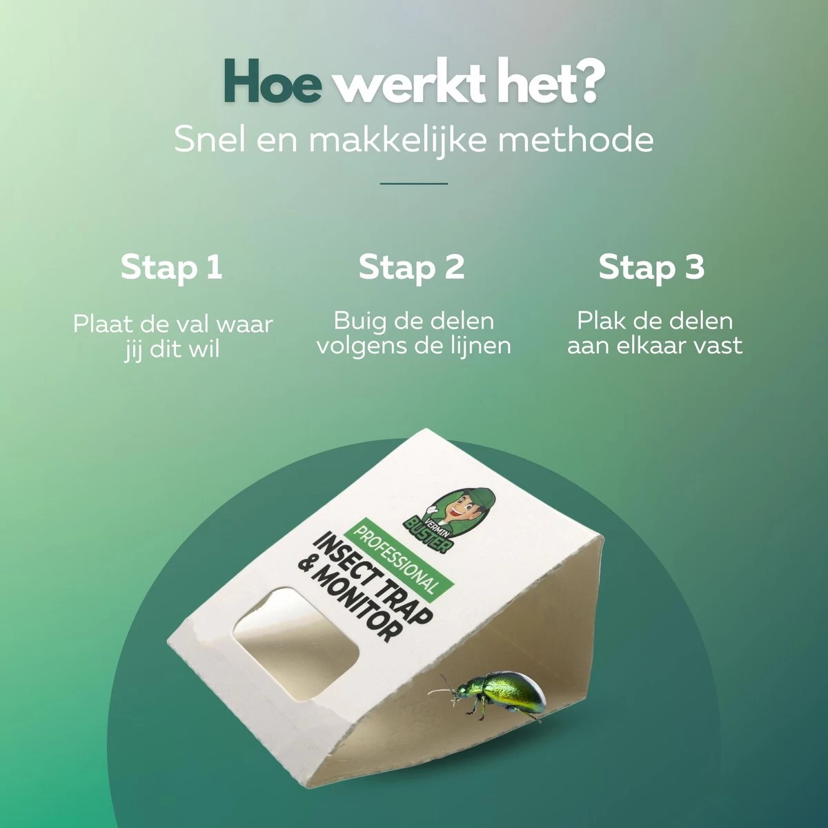 VerminBuster Zilvervisjesvallen 12 Stuks - Zilvervisjes - Insectenval - Kakkerlakval - Bedwantsen - Mieren 3 VerminBuster Zilvervisjesvallen 12 Stuks - Zilvervisjes - Insectenval - Kakkerlakval - Bedwantsen - Mieren - Afbeelding 3