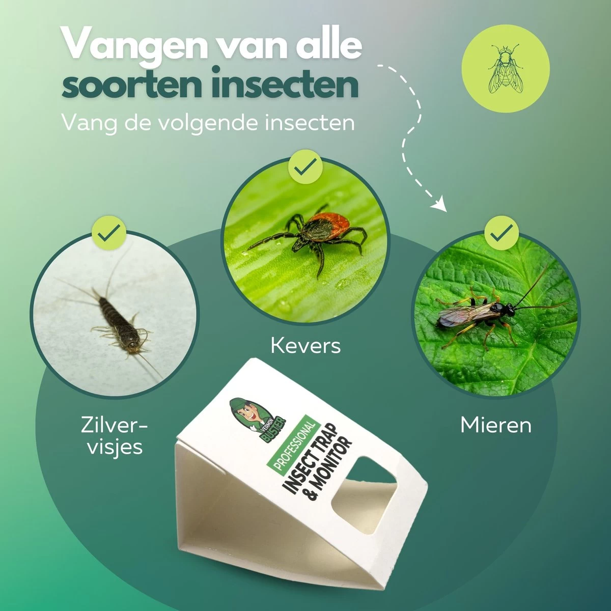 VerminBuster Zilvervisjesvallen 12 Stuks - Zilvervisjes - Insectenval - Kakkerlakval - Bedwantsen - Mieren 4 VerminBuster Zilvervisjesvallen 12 Stuks - Zilvervisjes - Insectenval - Kakkerlakval - Bedwantsen - Mieren - Afbeelding 4