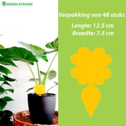 Plak Klavertjes Tegen Rouwvliegjes 48 Stuks - Rouwvliegjes Bestrijden - Varenrouwmug - Plakstrips - Vangkaarten - Vangplaten - Insectenval - Insectenvanger -Gardena Winkel 1200x1200 2567