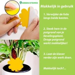 Plak Klavertjes Tegen Rouwvliegjes 15 Stuks - Rouwvliegjes Bestrijden - Varenrouwmug - Plakstrips - Vangkaarten - Vangplaten - Insectenval - Insectenvanger -Gardena Winkel 1200x1200 2581