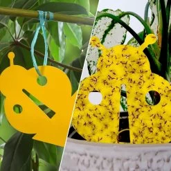 Biofixer - 10 Vangkaartjes - Rouwvliegjes Bestrijden - Varenrouwmug Bestrijden - Vangplaatjes Tegen Rouwvliegjes - Plakstrips - Vangplaten 12 Biofixer - 10 Vangkaartjes - Rouwvliegjes Bestrijden - Varenrouwmug Bestrijden - Vangplaatjes Tegen Rouwvliegjes - Plakstrips - Vangplaten -Gardena Winkel 1200x1200 2584