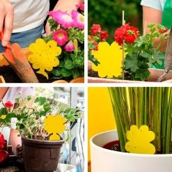 Plak Klavertjes Tegen Rouwvliegjes 24 Stuks - Rouwvliegjes Bestrijden - Varenrouwmug - Plakstrips - Vangkaarten - Vangplaten - Insectenval - Insectenvanger 9 Plak Klavertjes Tegen Rouwvliegjes 24 Stuks - Rouwvliegjes Bestrijden - Varenrouwmug - Plakstrips - Vangkaarten - Vangplaten - Insectenval - Insectenvanger -Gardena Winkel 1200x1200 2595