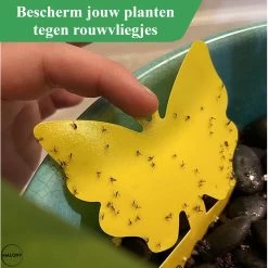 Vliegenvanger Set 24 Stuks - Fruitvliegjes Vanger - Rouwvliegjes Bestrijden - Insectenvanger - Plakstrips Dubbelzijdig -Gardena Winkel 1200x1200 2606