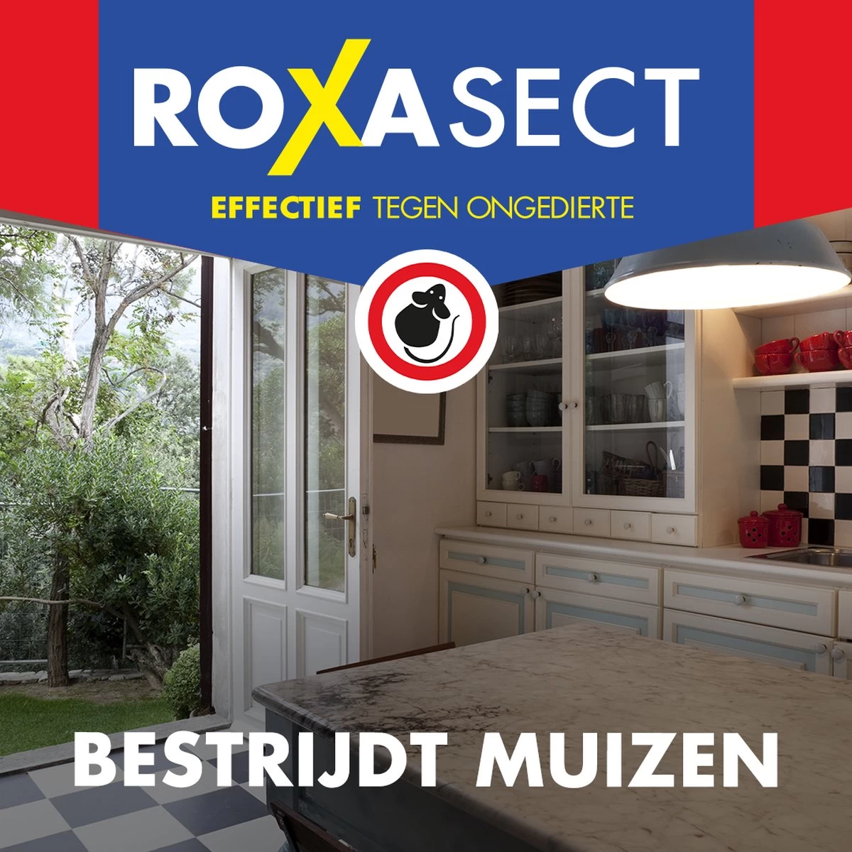 Roxasect Muizenlokdoos - Ongedierteval - 1 Stuks 8 Roxasect Muizenlokdoos - Ongedierteval - 1 Stuks - Afbeelding 8