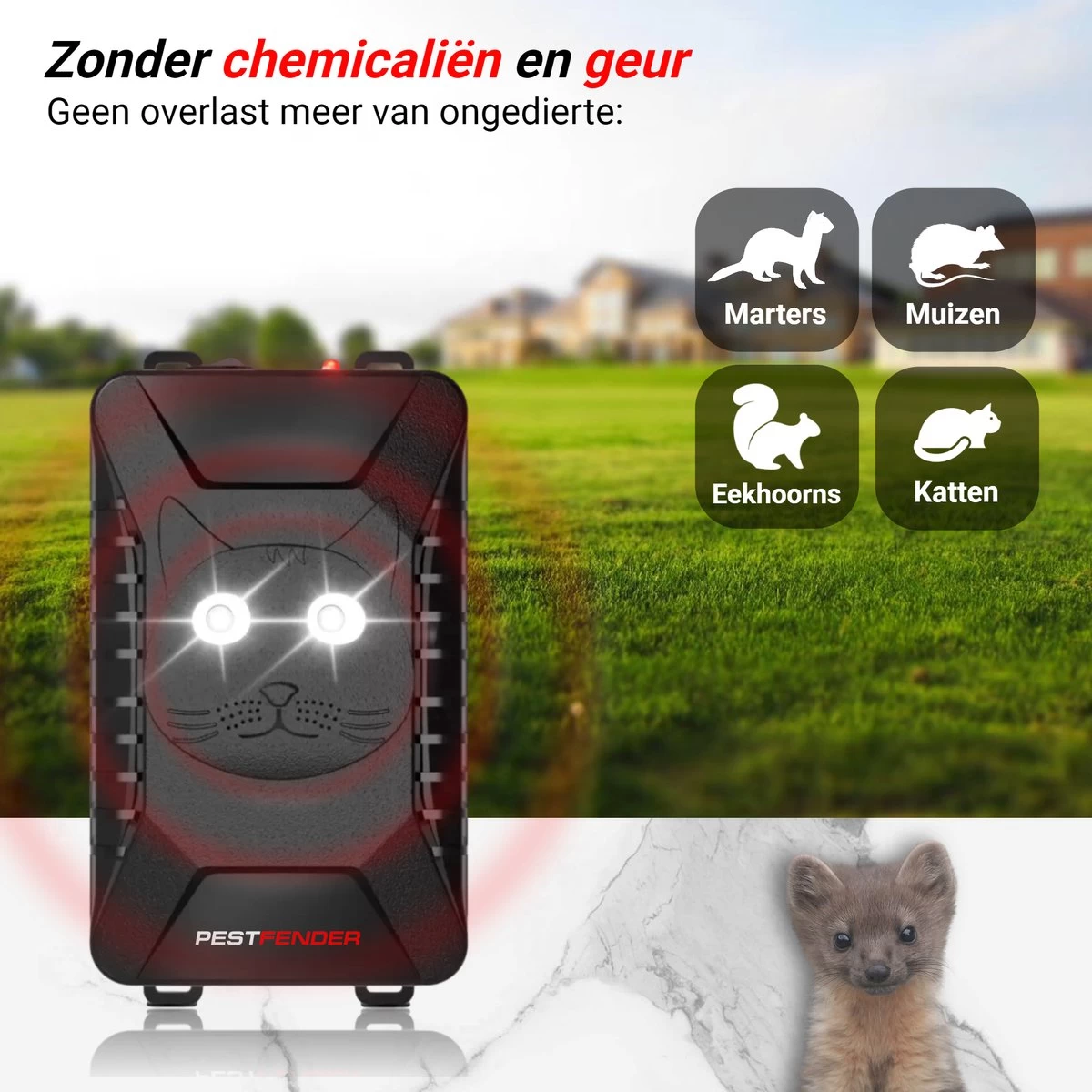 PestFender Marterverjager - Ongedierteverjager - Muizenverjager & Rattenverjager - Ultrasone & Flitsen - Werkt Op Autoaccu, Batterijen Of Netstroom - Voor Binnen, Buiten En Auto - Marter Verjager - Steenmarter 2 PestFender Marterverjager - Ongedierteverjager - Muizenverjager & Rattenverjager - Ultrasone & Flitsen - Werkt Op Autoaccu, Batterijen Of Netstroom - Voor Binnen, Buiten En Auto - Marter Verjager - Steenmarter - Afbeelding 2