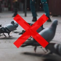 Merkloos 3 X Duivenverjager Kraai - Vogelverschrikker - Vogelverjager - Kunststof Kraaien -Gardena Winkel 1200x1200 2728