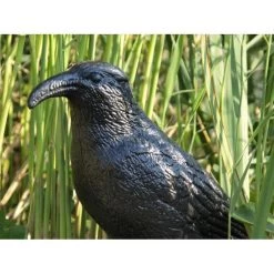 Orange85 Vogelverschrikker Vogelverjager Kraai 36,2 Cm Polyetheen -Gardena Winkel 1200x1200 2759