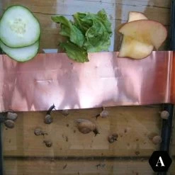 Kopertape & Slakkentape - 30 Meter - Diervriendelijke Slakkenval & Mierenval Met Slakken Tape -Gardena Winkel 1200x1200 2807