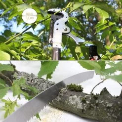 Iceberk Snoeischaar + Snoeizaag (1,45 - 3,70 M) - Telescopische Snoeischaar Voor Het Snoeien Van Bomen En Dichte Struiken Zonder Ladder -Gardena Winkel 1200x1200 367