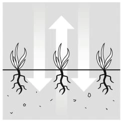 GARDENA EVC 1000 Verticuteermachine - Werkbreedte 30 Cm - Werkgebied 600m2 26 GARDENA EVC 1000 Verticuteermachine - Werkbreedte 30 Cm - Werkgebied 600m2 -Gardena Winkel 1200x1200 94