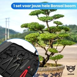 Good2know Bonsai Gereedschap Set – 16 Delig – Bonsai Starters Kit – Bonsai Boompje Verzorgingskit - Tuingereedschap 16 Good2know Bonsai Gereedschap Set – 16 Delig – Bonsai Starters Kit – Bonsai Boompje Verzorgingskit - Tuingereedschap -Gardena Winkel 1200x1200 942