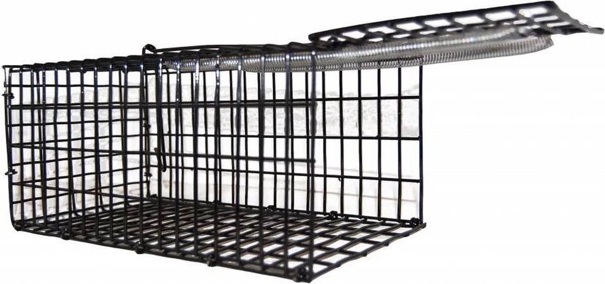 Merkloos Vangkooi Voor Ratten Middelgroot 1 Merkloos Vangkooi Voor Ratten Middelgroot