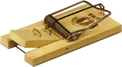 Luna Muizenval (2 Stuks)