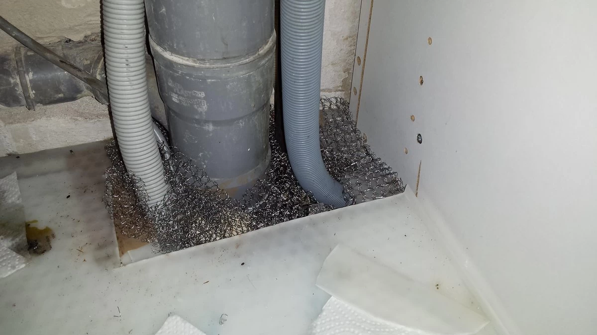 RVS Wering Gaas - Muizengaas - Afdichtingsnet - Netnox - Stootvoegroostergaas - Rattengaas - Insectengaas - Rvs Gaas - Per 1 Meter 8 RVS Wering Gaas - Muizengaas - Afdichtingsnet - Netnox - Stootvoegroostergaas - Rattengaas - Insectengaas - Rvs Gaas - Per 1 Meter - Afbeelding 8