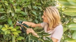 Bosch EasyPrune Accu Snoeischaar - 3.6 V Accu - USB -Gardena Winkel 1200x675 21