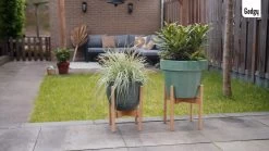 Gadgy Bamboe Plantenstandaard 2 St - Plantentafel - Plantentafeltje Voor Binnen - Plantenrek - Uitschuifbaar - Hout - Ø 20 Tot 30 Cm -Gardena Winkel 1200x675 51