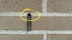 RVS Wering Gaas - Muizengaas - Afdichtingsnet - Netnox - Stootvoegroostergaas - Rattengaas - Insectengaas - Rvs Gaas - Per 1 Meter 14 RVS Wering Gaas - Muizengaas - Afdichtingsnet - Netnox - Stootvoegroostergaas - Rattengaas - Insectengaas - Rvs Gaas - Per 1 Meter -Gardena Winkel 1200x675 52