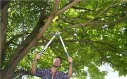 Gardena EasyCut Takkenschaar 68B + Classic Snoeischaar 8754 Display 1stuk 12003-30 18 Gardena EasyCut Takkenschaar 68B + Classic Snoeischaar 8754 Display 1stuk 12003-30 -Gardena Winkel 1200x749 2