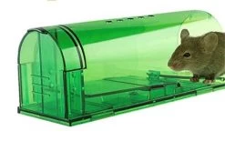 Merkloos Diervriendelijke Muizenval - 2 Stuks - Muizenverjager - Voor Binnen En Buiten - Verbeterd Model 2021