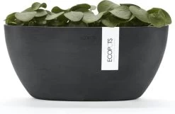Ecopots | Sofia | Dark Grey | Binnenbloempot | 30 Cm | Ovaal -Gardena Winkel 1200x781 5