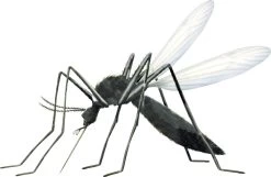 Vapona Anti Muggenstekker - Insectenbestrijding - 45 Nachten -Gardena Winkel 1200x784 3