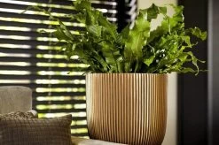 Capi Europe - Bloempot Bol Groove XL - 33x35 - Goud - Bloempot Voor Binnen - Opening ⌀28 - GVGB932 -Gardena Winkel 1200x796 11