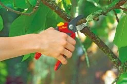 WOLF-Garten Snoeischaar "Premium Plus" RS 4000 - Aambeeld - Max. Knipdiameter 25 Mm - Links- En Rechtshandige - Softinleg Handgreep - Snijhoek 30° - Voor Grote Handen - Vervangbare Messen En Aambeeld 12 WOLF-Garten Snoeischaar "Premium Plus" RS 4000 - Aambeeld - Max. Knipdiameter 25 Mm - Links- En Rechtshandige - Softinleg Handgreep - Snijhoek 30° - Voor Grote Handen - Vervangbare Messen En Aambeeld -Gardena Winkel 1200x798 10