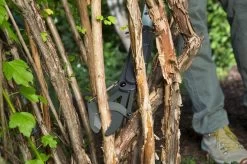 GARDENA - SlimCut Takkenschaar -28mm- Met Hefboommechanisme -Gardena Winkel 1200x799 104