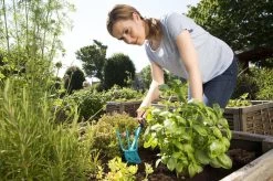 GARDENA Combisystem Tuinhak - Werkbreedte 6,5cm - 25 Jaar Garantie -Gardena Winkel 1200x799 191