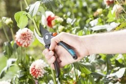 GARDENA Comfort B/M Bypass Snoeischaar - Ø 24mm - Met Sapgeul -Gardena Winkel 1200x799 21