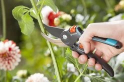 GARDENA Comfort B/M Bypass Snoeischaar - Ø 24mm - Met Sapgeul -Gardena Winkel 1200x799 22