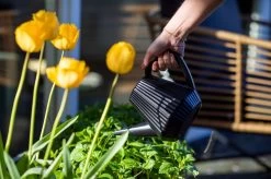 Xala - Gieter Doppio Groove 2L Zwart -Gardena Winkel 1200x799 259