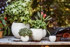 Capi Europe - Set Van 3 - Bloempot Binnen - Rib Ivoor -Gardena Winkel 1200x799 269