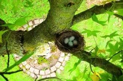 Gardigo Kattenafweergordel -Gardena Winkel 1200x799 272