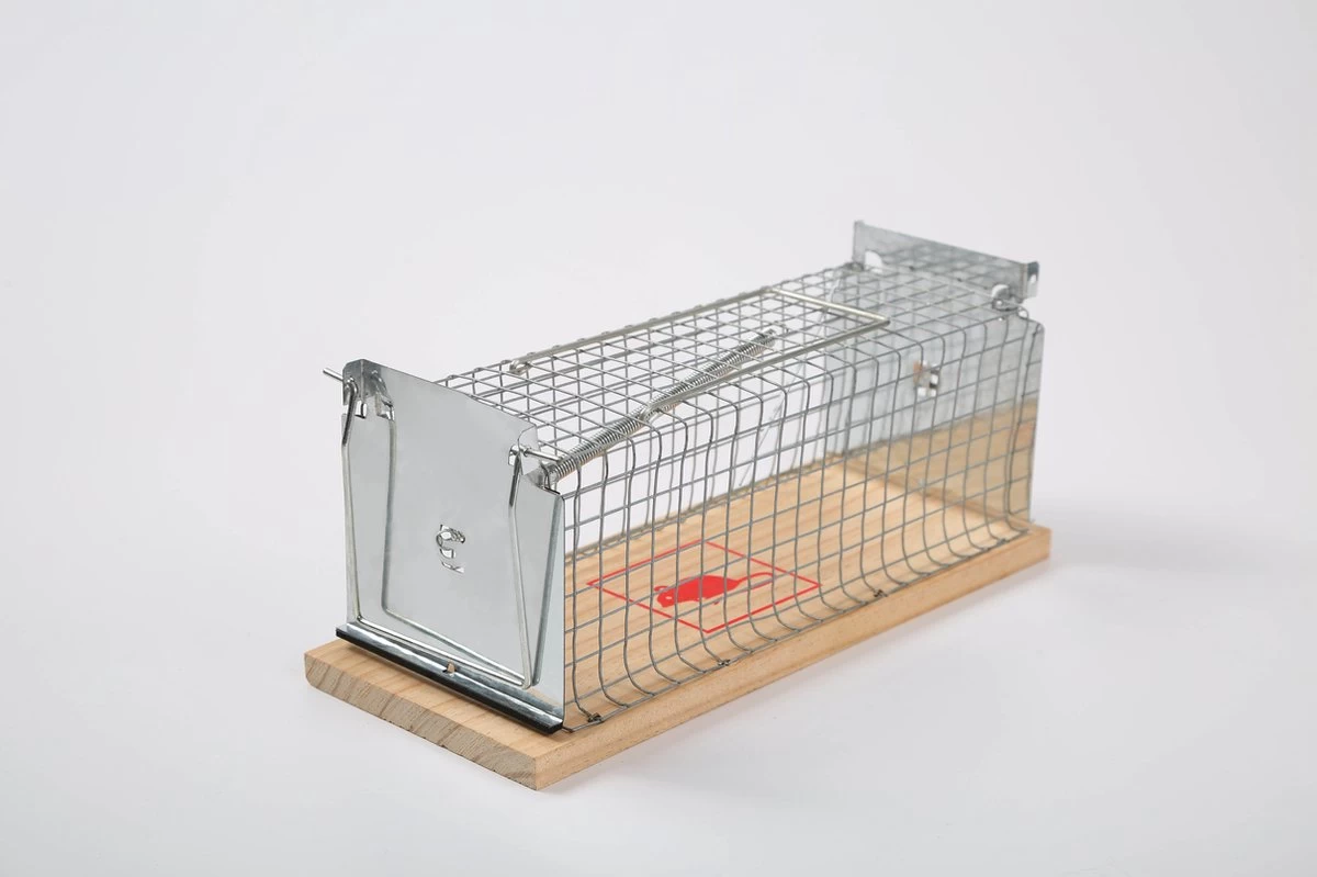 Set Van 2 Diervriendelijke Muizenval "Gabbia" - Inloopval - Muizenkooi - Ongedierteval - Ongediertebestrijding 2 Set Van 2 Diervriendelijke Muizenval "Gabbia" - Inloopval - Muizenkooi - Ongedierteval - Ongediertebestrijding - Afbeelding 2