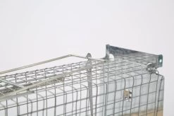 Set Van 2 Diervriendelijke Muizenval "Gabbia" - Inloopval - Muizenkooi - Ongedierteval - Ongediertebestrijding 13 Set Van 2 Diervriendelijke Muizenval "Gabbia" - Inloopval - Muizenkooi - Ongedierteval - Ongediertebestrijding -Gardena Winkel 1200x799 277