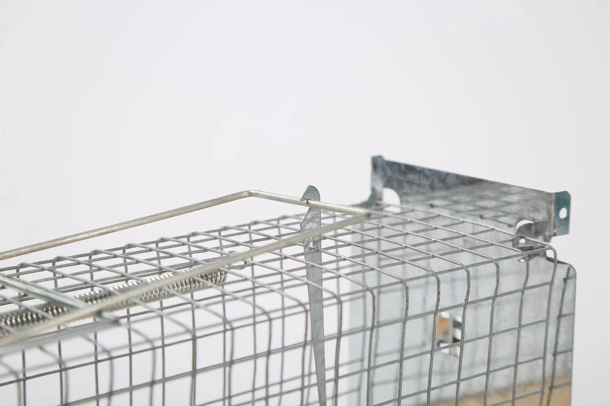 Set Van 2 Diervriendelijke Muizenval "Gabbia" - Inloopval - Muizenkooi - Ongedierteval - Ongediertebestrijding 5 Set Van 2 Diervriendelijke Muizenval "Gabbia" - Inloopval - Muizenkooi - Ongedierteval - Ongediertebestrijding - Afbeelding 5