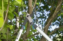 GARDENA EnergyCut Takkenschaar 75B - 42mm 13 GARDENA EnergyCut Takkenschaar 75B - 42mm -Gardena Winkel 1200x799 6