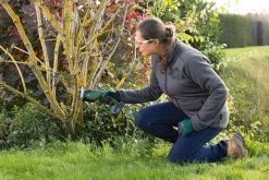 Bosch KEO 18 Accu Tuinzaagmachine - Snijdiameter Van 80 Mm - Met 18 V Accu En Lader 31 Bosch KEO 18 Accu Tuinzaagmachine - Snijdiameter Van 80 Mm - Met 18 V Accu En Lader -Gardena Winkel 1200x800 167