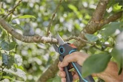 GARDENA AssistCut Snoeischaar- Ø 25mm -Gardena Winkel 1200x800 171