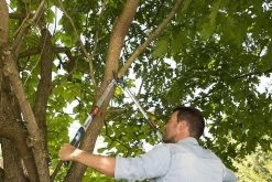 Gardena TeleCut Takkenschaar 650-900 B - Uitschuifbare Armen - Tot Max 90 Cm -Gardena Winkel 1200x800 185