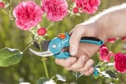 GARDENA - Classic B/S-M Bypass Snoeischaar - Ø 22mm - 25 Jaar Garantie -Gardena Winkel 1200x800 197