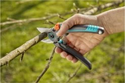 GARDENA - ExpertCut - Snoeischaar - 22 Diameter Tak -Gardena Winkel 1200x800 204