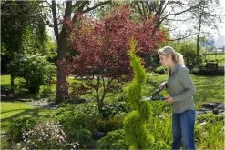 GARDENA PrecisionCut Buxusschaar - Meslengte 18 Cm - Vormsnoeien -Gardena Winkel 1200x800 208