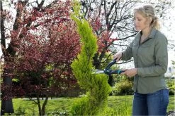 GARDENA PrecisionCut Buxusschaar - Meslengte 18 Cm - Vormsnoeien -Gardena Winkel 1200x800 209