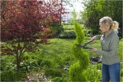 GARDENA PrecisionCut Buxusschaar - Meslengte 18 Cm - Vormsnoeien -Gardena Winkel 1200x800 212