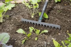 Gardena NatureLine Hark | 36 Cm | FSC 100% - 17106-20 -Gardena Winkel 1200x800 288